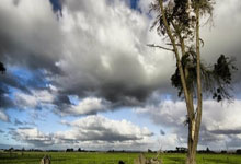 球探网足球手机比分好用吗？怎么用它看实时赛况？